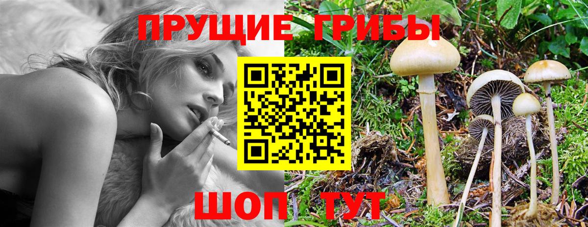 Златоуст  Галлюциногенные грибы GOLDEN TEACHER  Вход с VPN  Псилоцибиновые грибы GOLDEN TEACHER 